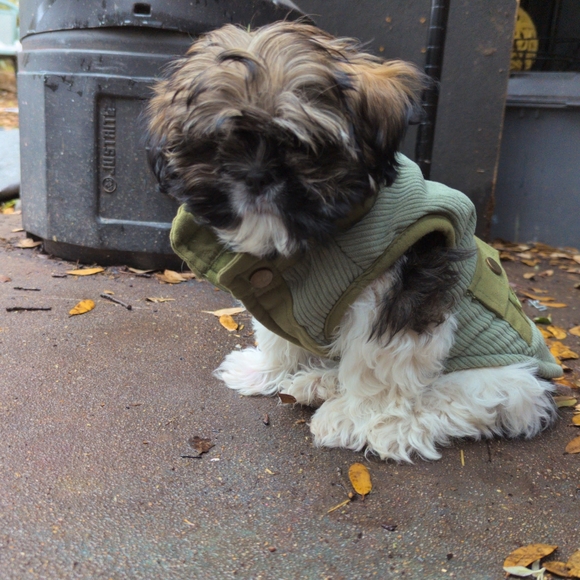 Meet your Posher, A.g. - Picture 1 of 4